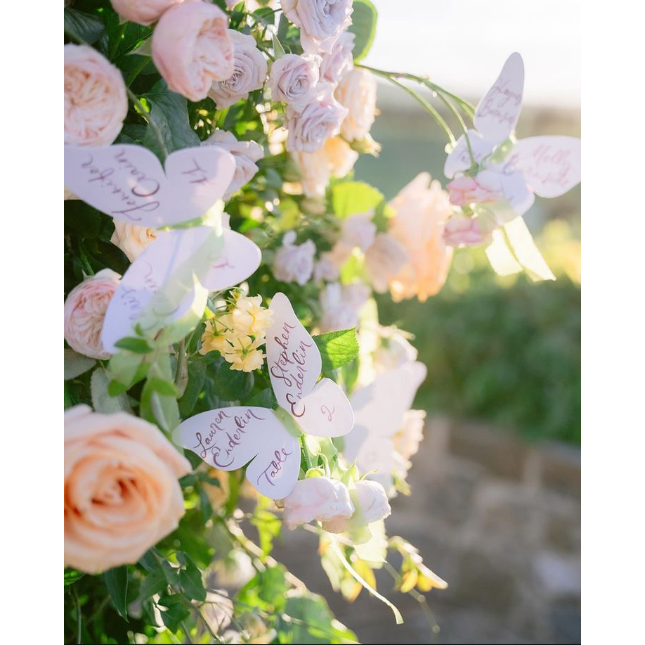 Menu farfalla elegante persona - Wedding Supply Business recensione e prezzo